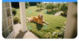 Pet detection